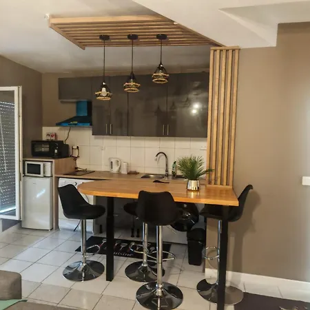 דירה F1 220 Metre De La Gare פרפיניין